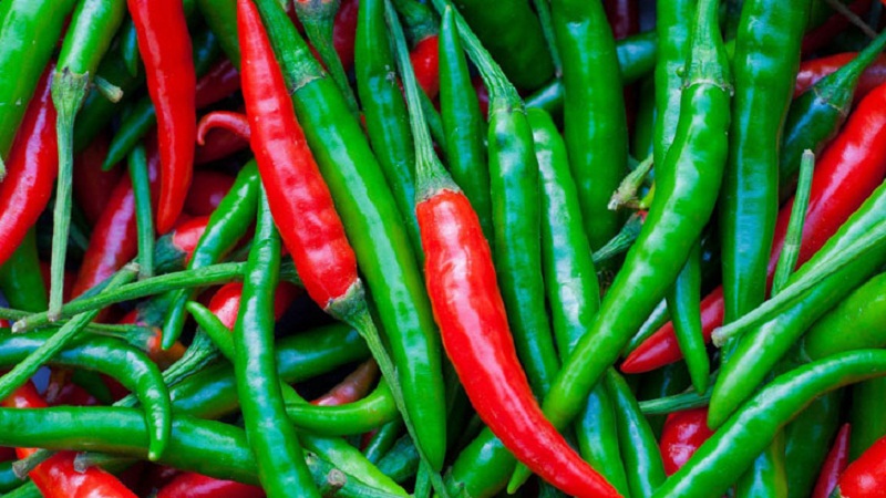 কাঁচামরিচের ঝাঁজে দিশেহারা ক্রেতা